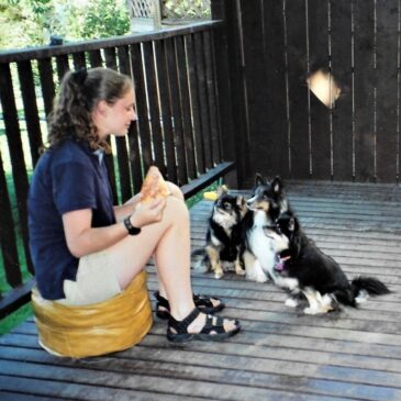 The girl and her dogs