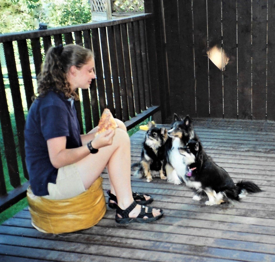 Girl on deck with dogs original
