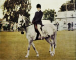 photo restoration a girl on horseback web